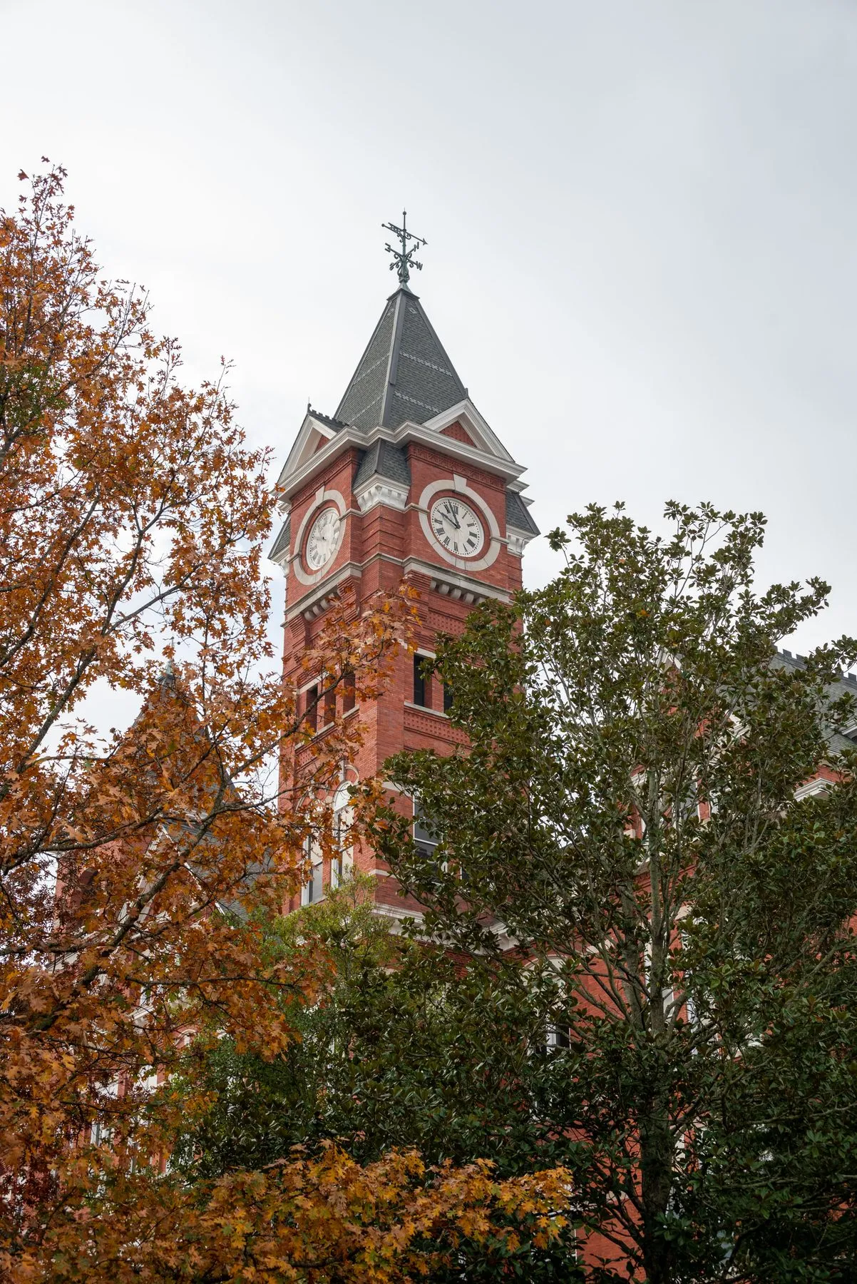 A brick clock tower framed by autumn leaves.